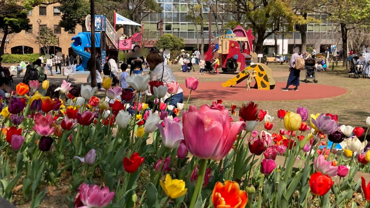 横浜公園の子どもが遊べる遊具があるスペース